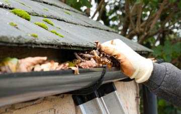 gutter cleaning Hartwell